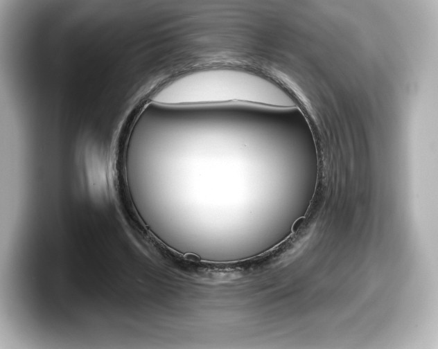 X0000099380443200805081202