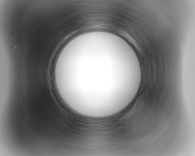 X0000099380444200805081202