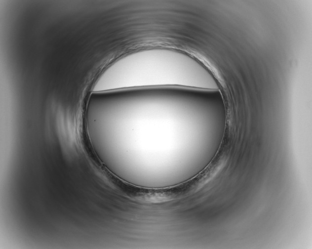 X0000099380445200805081202