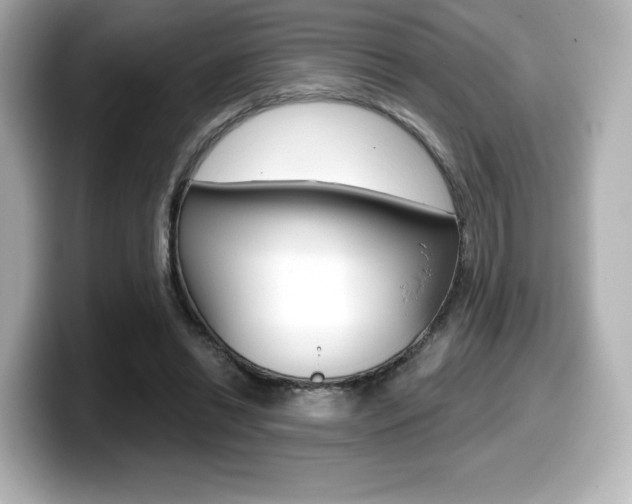 X0000099380446200805081203