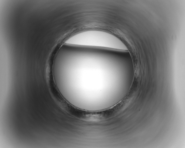 X0000099380448200805081203