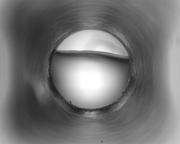 X0000099380450200805081203