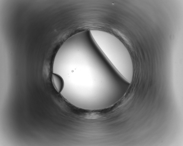 X0000099380451200805081203
