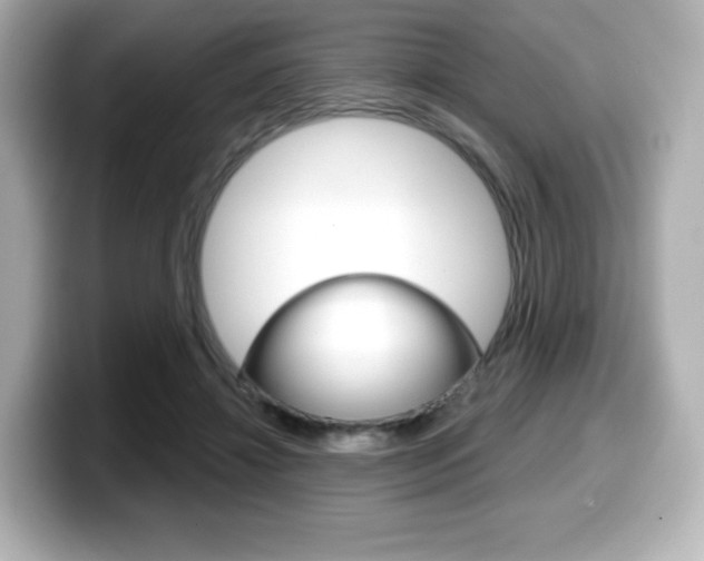 X0000099380452200805081203