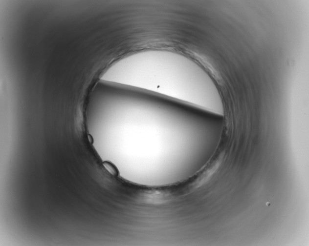 X0000099380453200805081203