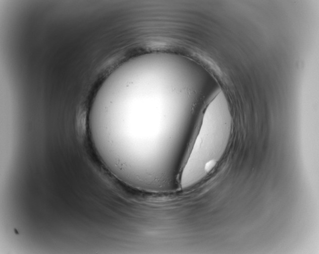 X0000099380454200805081203
