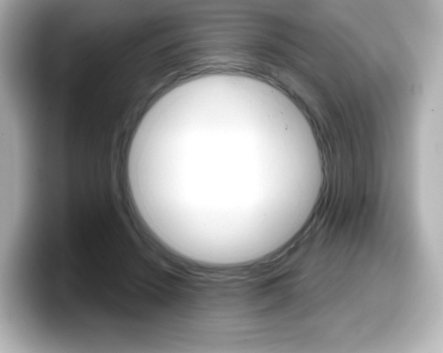 X0000099380456200805081203