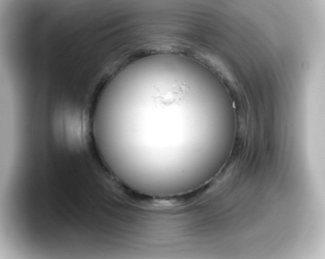 X0000099380457200805081203