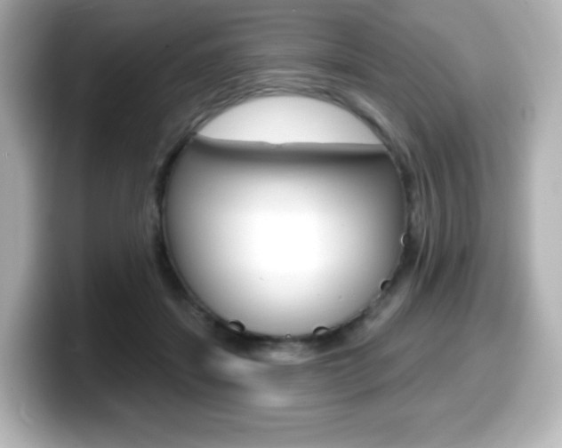 X0000099380459200805081203