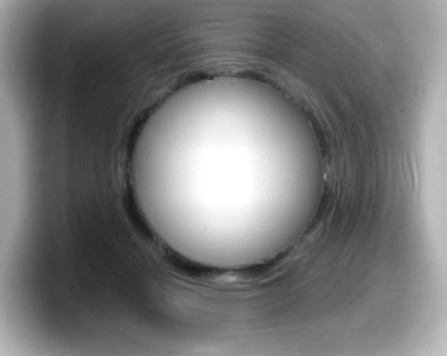 X0000099380460200805081203