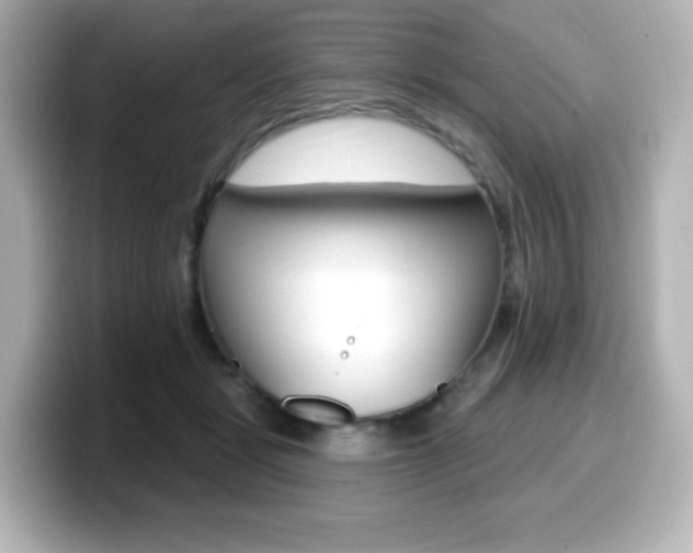 X0000099380461200805081203