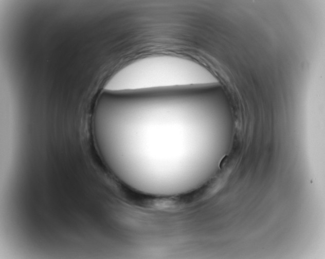 X0000099380462200805081203