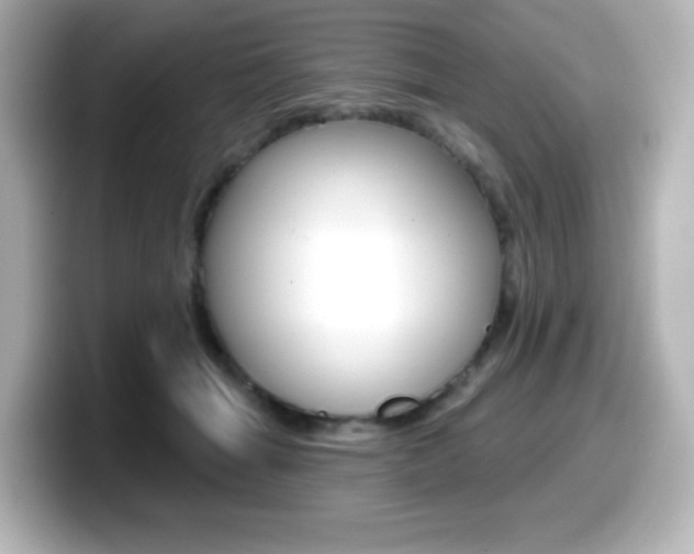 X0000099380463200805081203