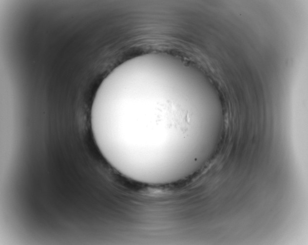 X0000099380464200805081203