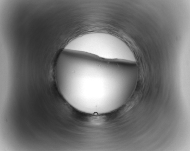 X0000099380465200805081203