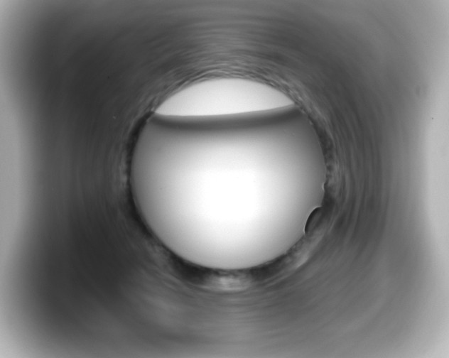 X0000099380466200805081203
