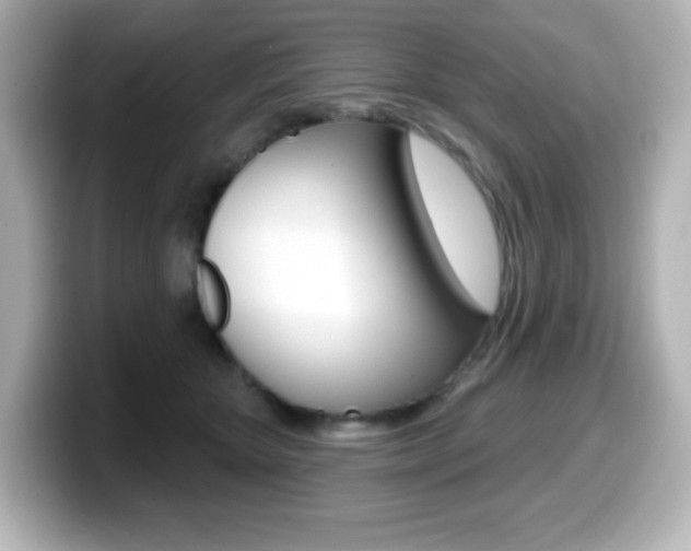 X0000099380467200805081203