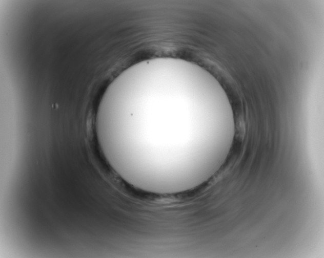 X0000099380468200805081203