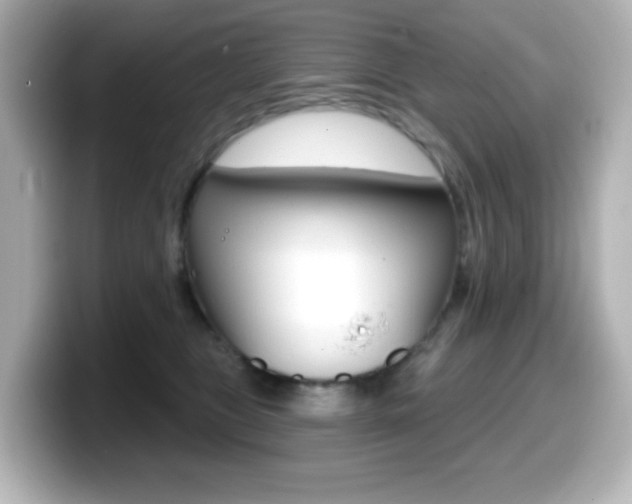 X0000099380469200805081203