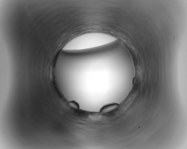 X0000099380470200805081203