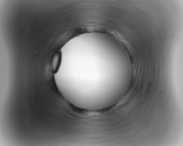 X0000099380471200805081203