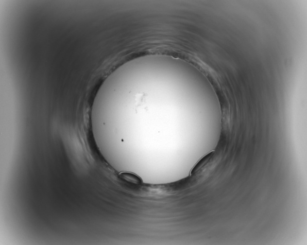 X0000099380475200805081203