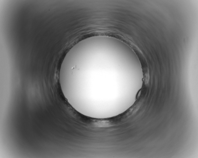 X0000099380476200805081203