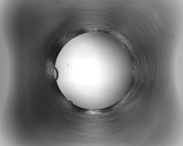 X0000099380477200805081203