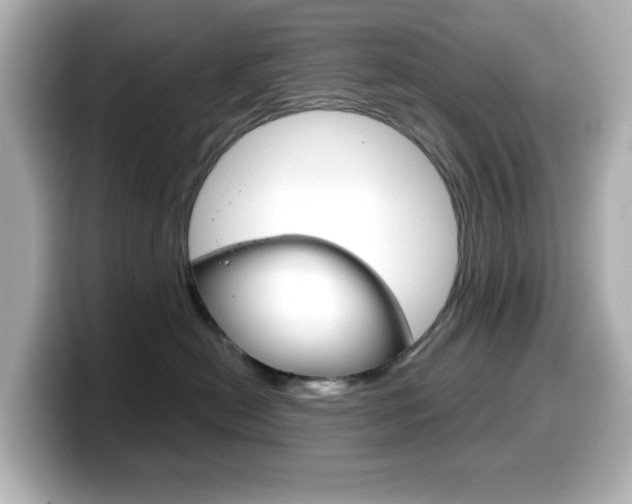 X0000099380478200805081203