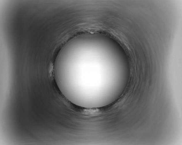 X0000099380480200805081203