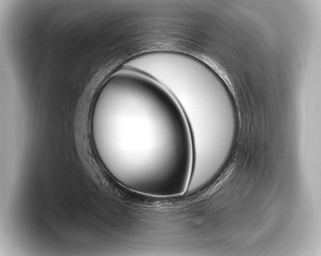 X0000099380481200805081202
