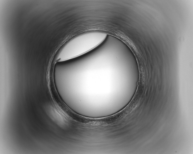 X0000099380482200805081202