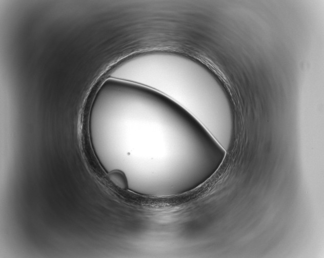 X0000099380483200805081202