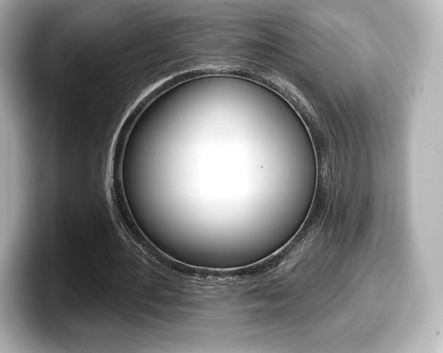 X0000099380484200805081202