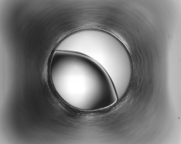X0000099380485200805081202