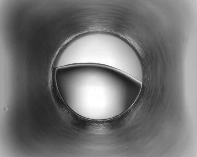 X0000099380488200805081202