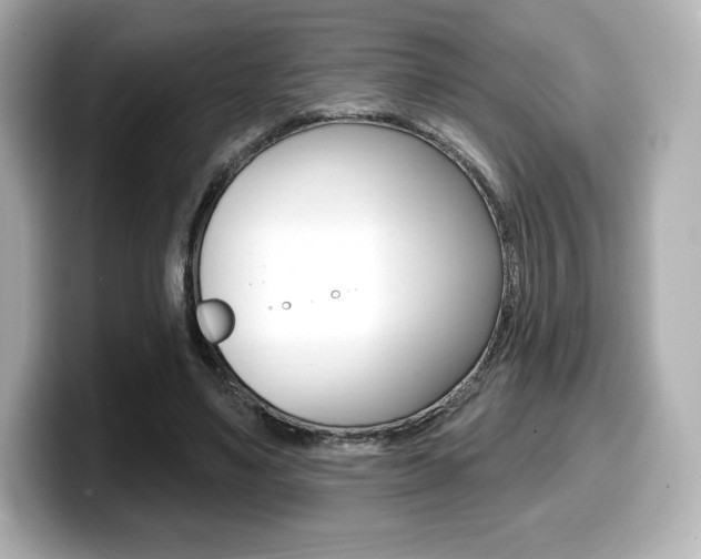 X0000099380491200805081202