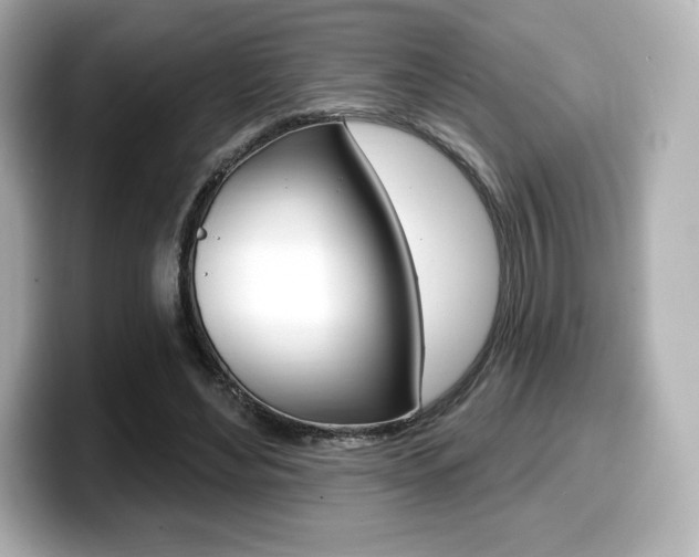 X0000099380492200805081202