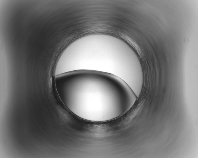 X0000099380493200805081202