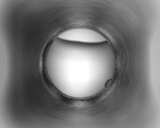 X0000099380494200805081202