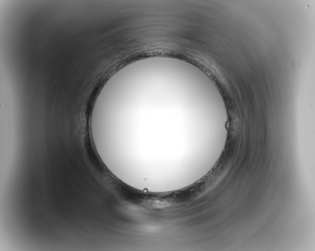 X0000099380498200805081202