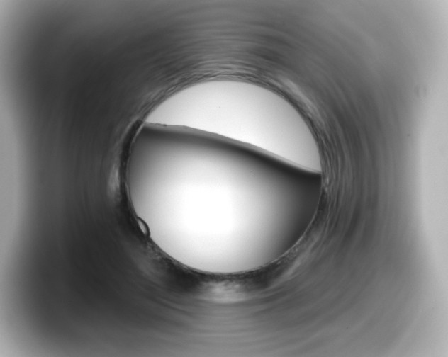 X0000099380500200805081202