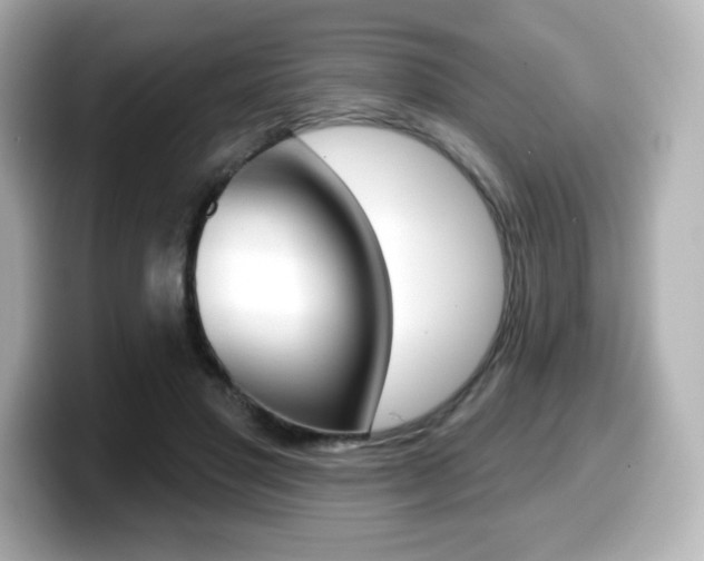 X0000099380501200805081202