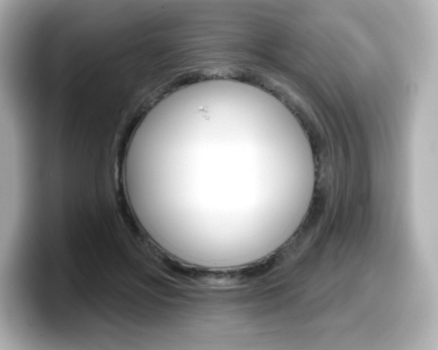 X0000099380502200805081202