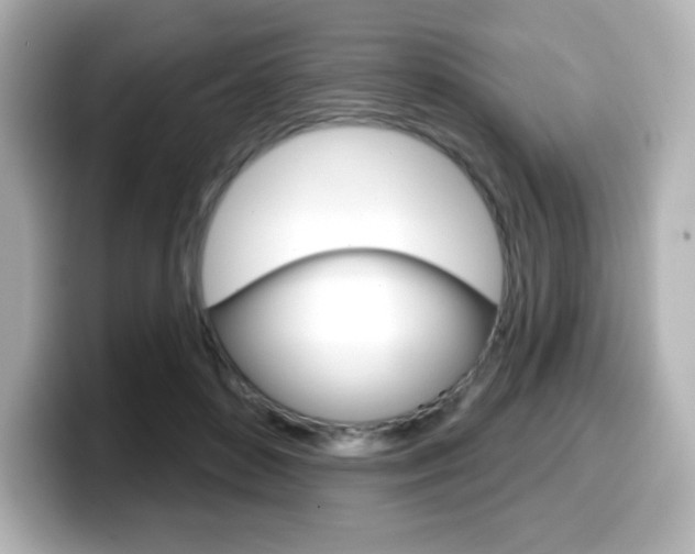 X0000099380504200805081202