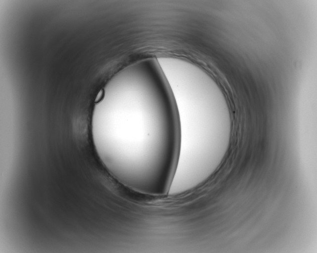 X0000099380505200805081202