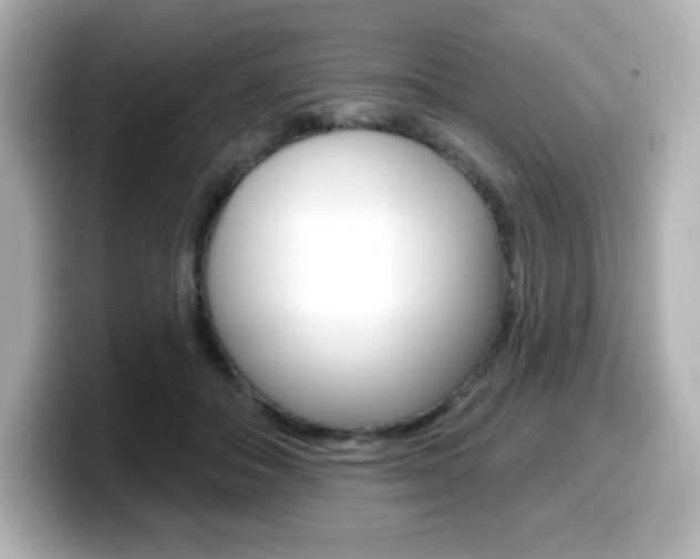 X0000099380506200805081202