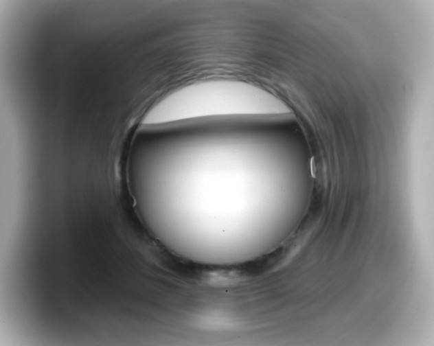 X0000099380508200805081202