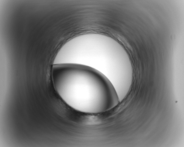 X0000099380509200805081202
