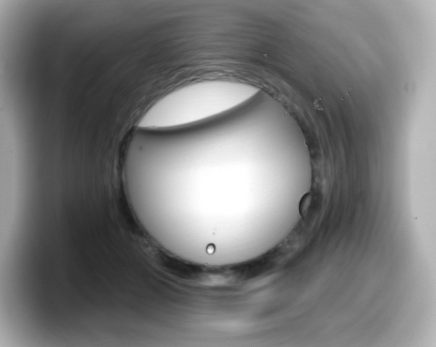 X0000099380510200805081202